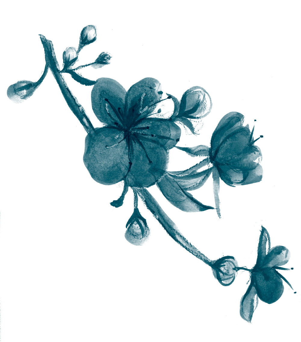 Sakura (Cherry Blossom) extract, a symbol of beauty in Japan, known for hydrating and enhancing skin elasticity