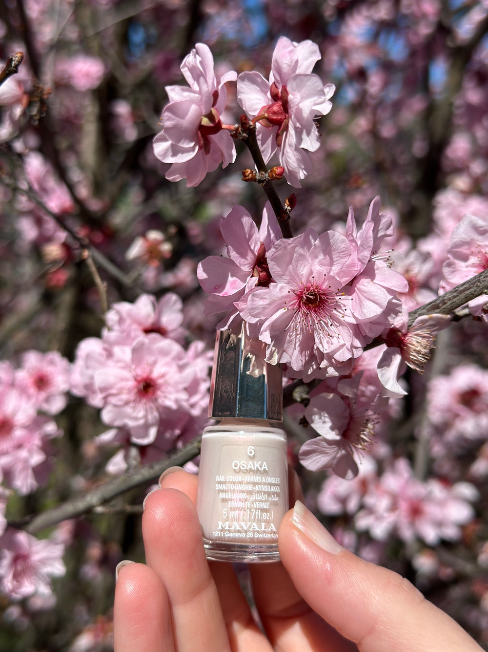 SILKY PAWS “Osaka” Gift with Mavala Nail Polish (Value $120.95)