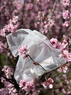 SILKY PAWS “Osaka” Gift with Mavala Nail Polish (Value $120.95)